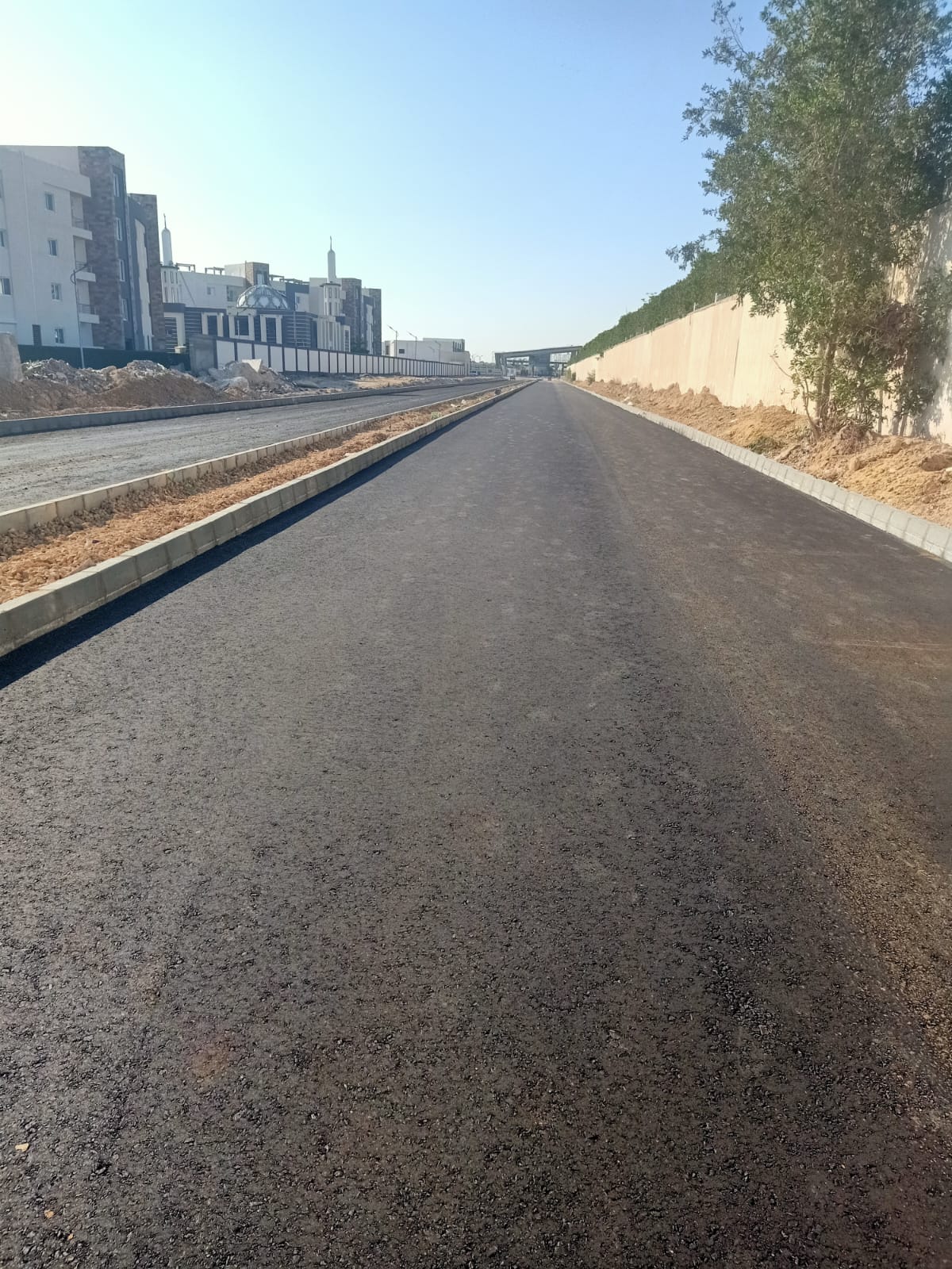 صورة 1